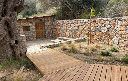 Bodrum Mazı Sezonluk Kiralık Villa