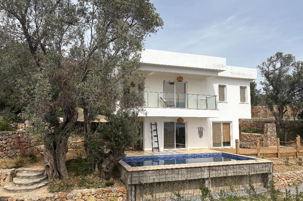 Bodrum Mazı Sezonluk Kiralık Villa
