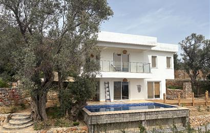 Bodrum Mazı Sezonluk Kiralık Villa