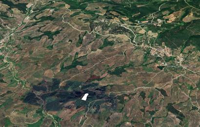 C21 Cius; Katırlı'da Ulaşımı Kolay Verimli Satılık Zeytinlik
