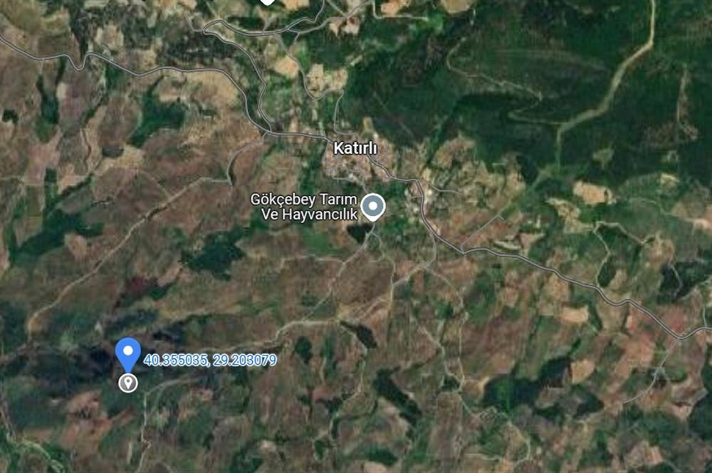 C21 Cius; Katırlı'da Ulaşımı Kolay Verimli Satılık Zeytinlik