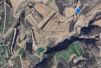 PAMUKKALE İLÇESİ HAYTABEY MAHALLESİNDE SATILIK TARLA