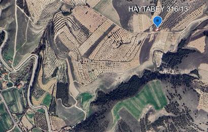 PAMUKKALE İLÇESİ HAYTABEY MAHALLESİNDE SATILIK TARLA