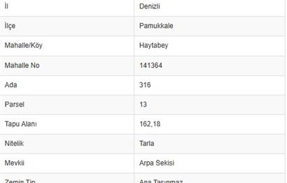 PAMUKKALE İLÇESİ HAYTABEY MAHALLESİNDE SATILIK TARLA