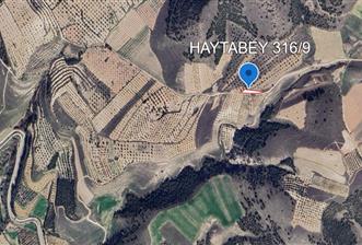 PAMUKKALE İLÇESİ HAYTABEY MAHALLESİNDE SATILIK TARLA