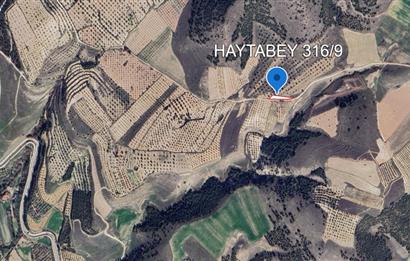 PAMUKKALE İLÇESİ HAYTABEY MAHALLESİNDE SATILIK TARLA