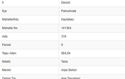 PAMUKKALE İLÇESİ HAYTABEY MAHALLESİNDE SATILIK TARLA