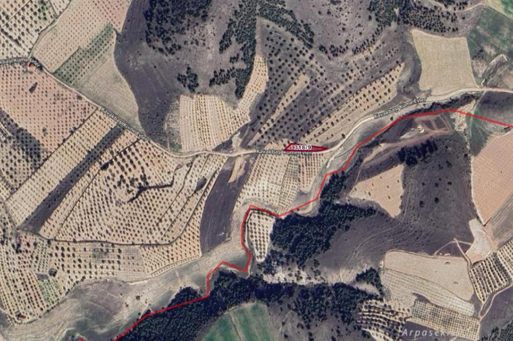 PAMUKKALE İLÇESİ HAYTABEY MAHALLESİNDE SATILIK TARLA
