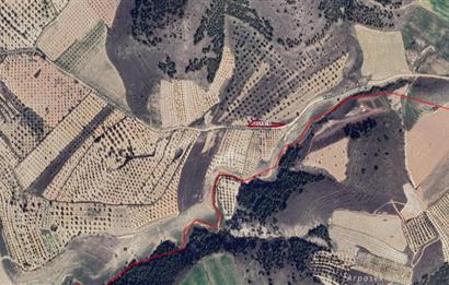 PAMUKKALE İLÇESİ HAYTABEY MAHALLESİNDE SATILIK TARLA