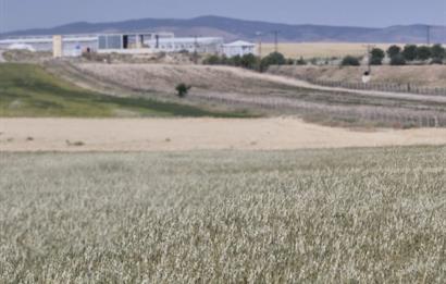 GÖLBAŞI GÖKÇEHÖYÜK 7300 m² TEK TAPU TARLA