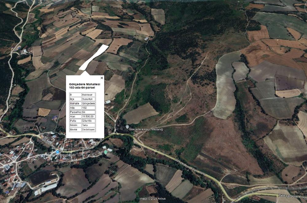 ENTURY21 BAL'DAN SUSURLUK GÖKÇEDERE  MAH. SATILIK TARLA