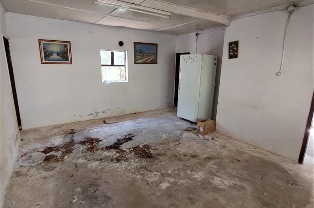 Datçada Hayal Kur, Emecikte İnşa Et