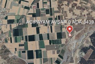 ACIPAYAM AVŞAR'DA YOLA YAKIN SATILIK TARLA
