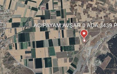 ACIPAYAM AVŞAR'DA YOLA YAKIN SATILIK TARLA