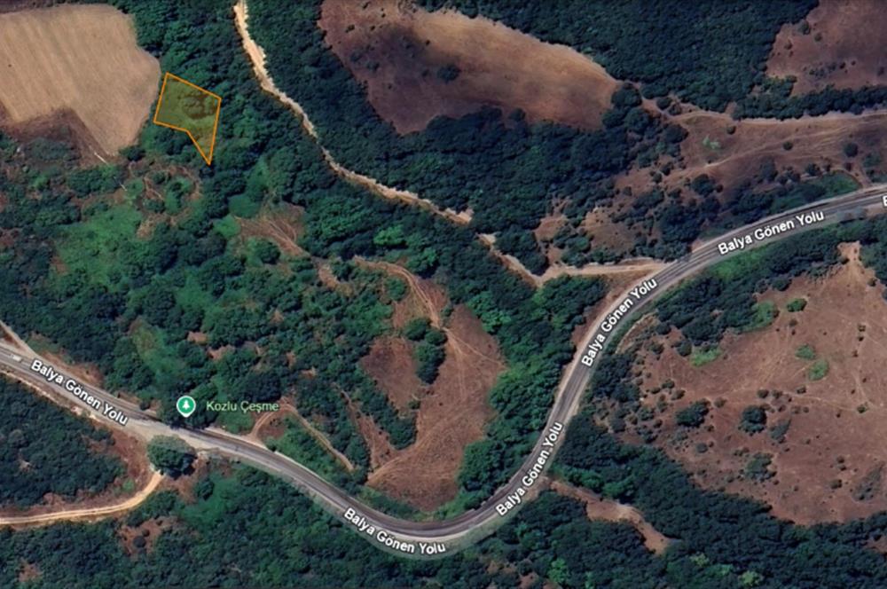 C21 LOCA'DAN BALYA SEMİZKÖY'DE BAHÇE