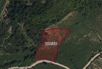 Pınarlıda yola cephe 7380m2 fındıkşık