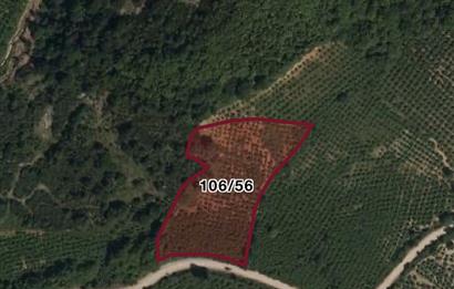 Pınarlıda yola cephe 7380m2 fındıkşık