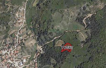 Pınarlıda 2066m2 satılık tarla