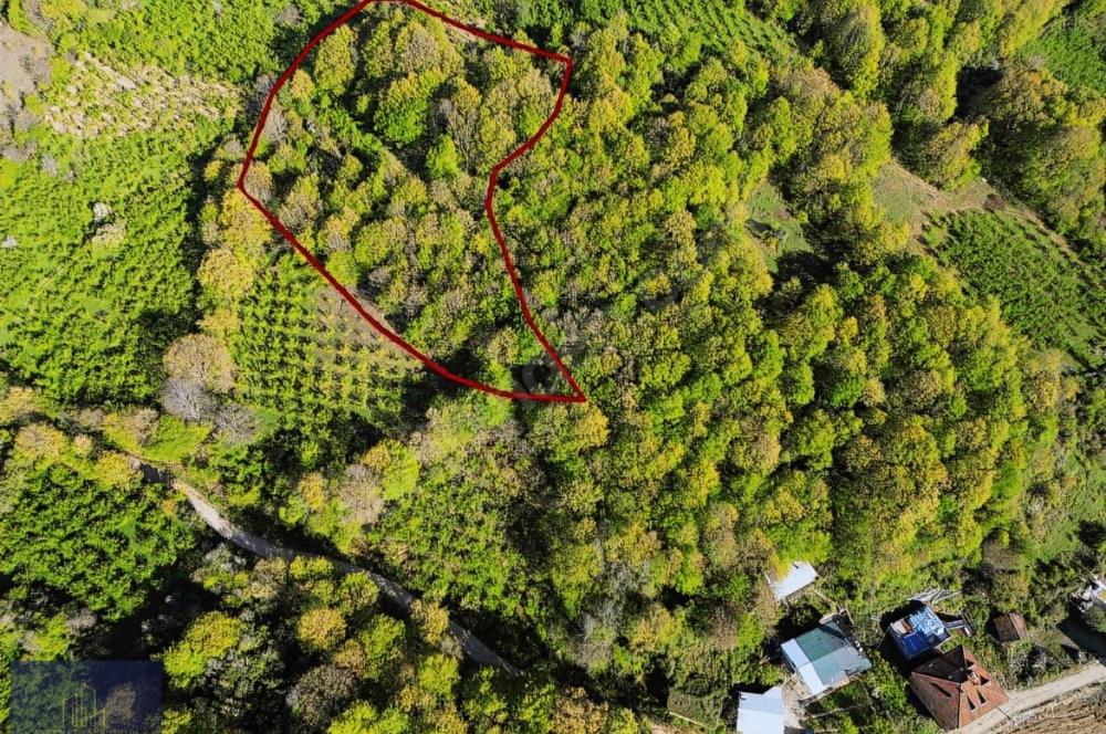 Pınarlıda 2066m2 satılık tarla