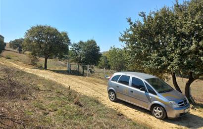 C.21LOCA'DAN KARESİ YENİKÖYDE SATILIK 5881 M2 MÜKEMMEL TARLA