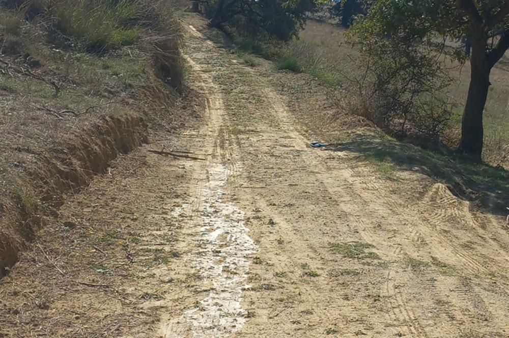 C.21LOCA'DAN KARESİ YENİKÖYDE SATILIK 5881 M2 MÜKEMMEL TARLA