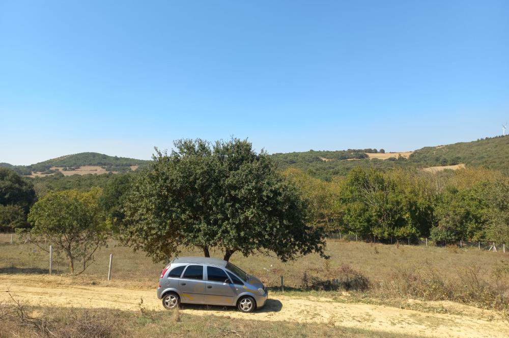 C.21LOCA'DAN KARESİ YENİKÖYDE SATILIK 5881 M2 MÜKEMMEL TARLA