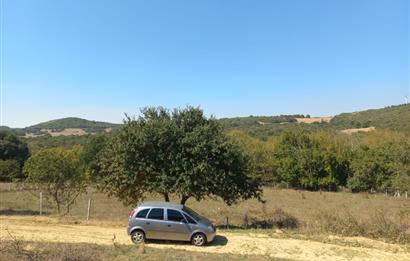 C.21LOCA'DAN KARESİ YENİKÖYDE SATILIK 5881 M2 MÜKEMMEL TARLA