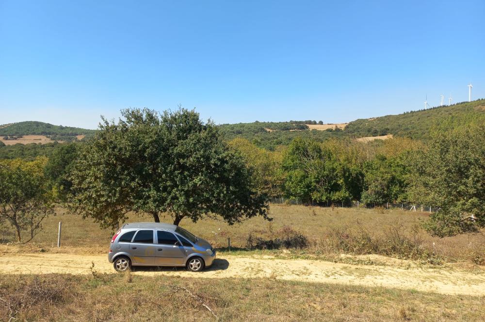 C.21LOCA'DAN KARESİ YENİKÖYDE SATILIK 5881 M2 MÜKEMMEL TARLA