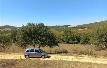 C.21LOCA'DAN KARESİ YENİKÖYDE SATILIK 5881 M2 MÜKEMMEL TARLA
