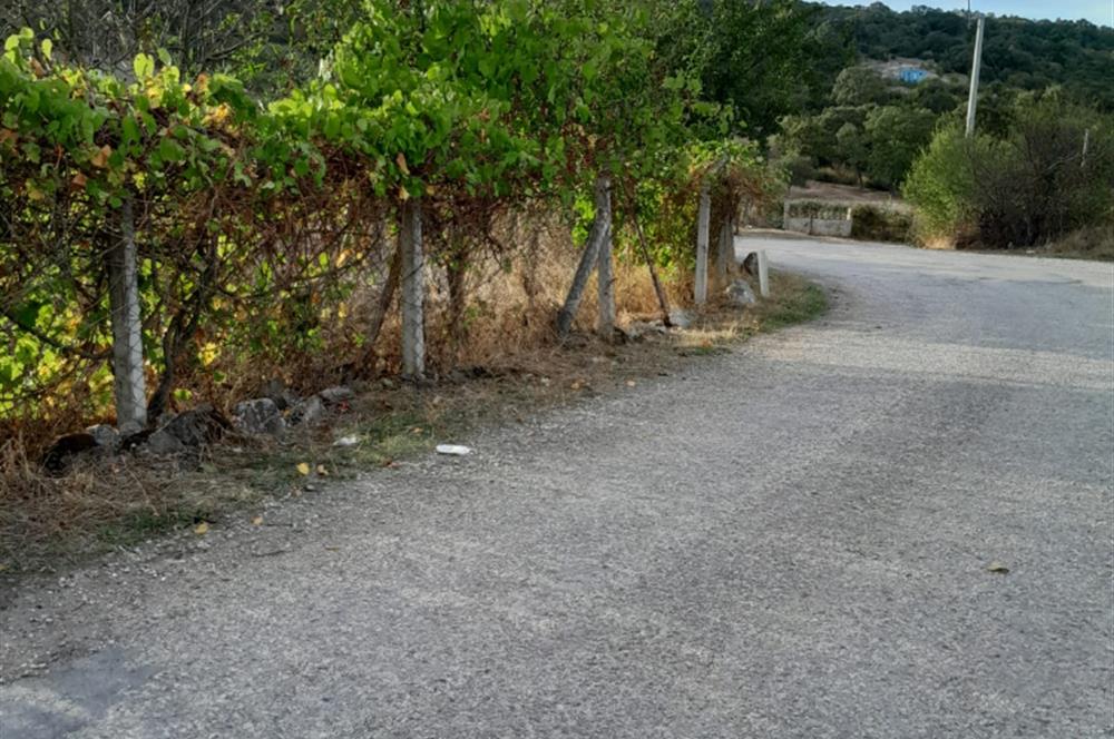 C21 LOCA'DAN SATILIK DOĞAYLA İÇİÇE TAŞ EV