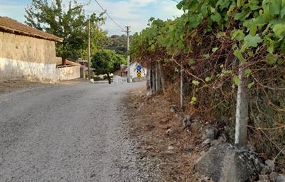 C21 LOCA'DAN SATILIK DOĞAYLA İÇİÇE TAŞ EV