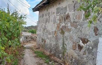 C21 LOCA'DAN SATILIK DOĞAYLA İÇİÇE TAŞ EV