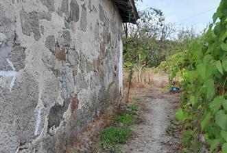 C21 LOCA'DAN SATILIK DOĞAYLA İÇİÇE TAŞ EV