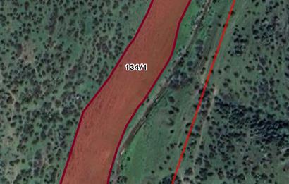 C21 LOCA'DAN BALIKESİR KALAYCILAR'DA 6.462,60 M2 TARLA 