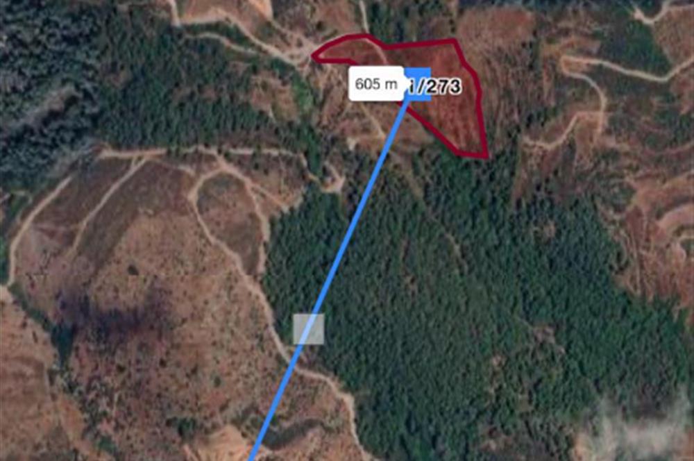 Milas Demirciler Balca Mevkii'nde Yatırıma Uygun 11.842 m² Tarla