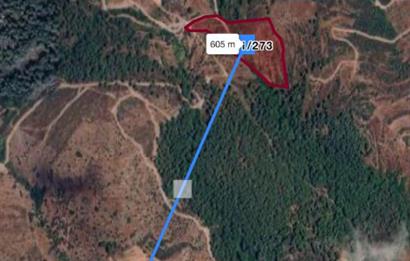 Milas Demirciler Balca Mevkii'nde Yatırıma Uygun 11.842 m² Tarla