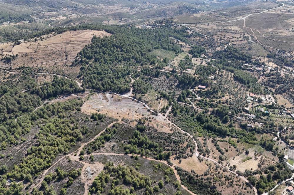 Milas Demirciler'de 6.847 m² Yatırımlık Tarla – Doğa İçinde, Uygun Fiyatlı!