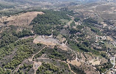 Milas Demirciler Balca Mevkii'nde Yatırıma Uygun 11.842 m² Tarla