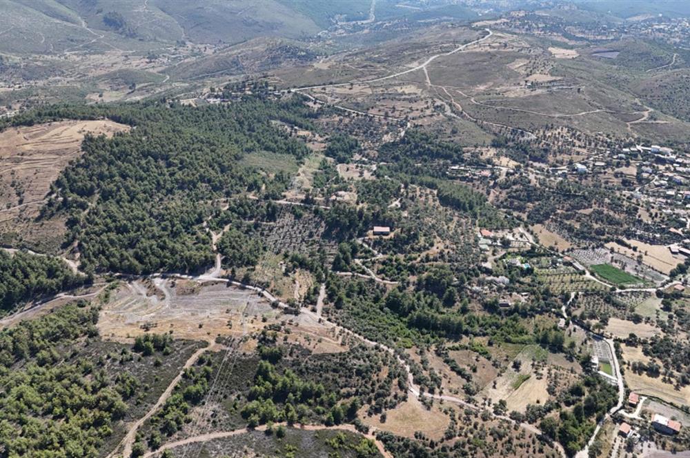 Milas Demirciler'de 6.847 m² Yatırımlık Tarla – Doğa İçinde, Uygun Fiyatlı!