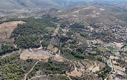 Milas Demirciler'de 6.847 m² Yatırımlık Tarla – Doğa İçinde, Uygun Fiyatlı!