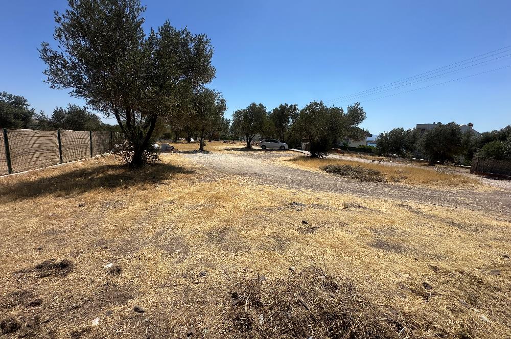 Dikili Çandarlı da Villa İmarlı Arsa 