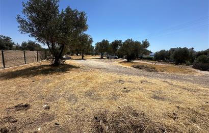 Dikili Çandarlı da Villa İmarlı Arsa 