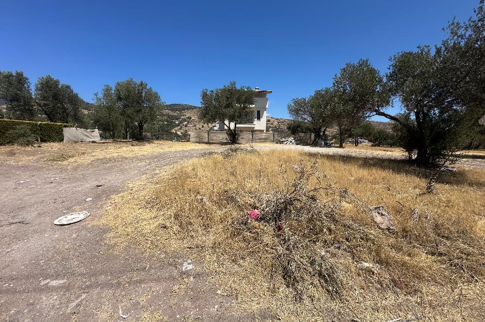 Dikili Çandarlı da Villa İmarlı Arsa 