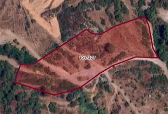 Milas Demirciler'de 6.847 m² Yatırımlık Tarla – Doğa İçinde, Uygun Fiyatlı!