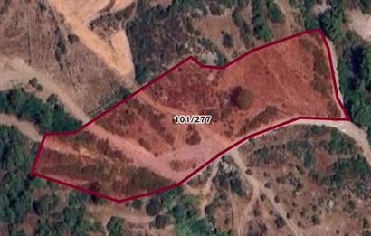Milas Demirciler'de 6.847 m² Yatırımlık Tarla – Doğa İçinde, Uygun Fiyatlı!