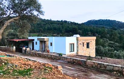 Bodrum Yalıçiftlik'te 1.5 Dönüm İçinde Müstakil Villa
