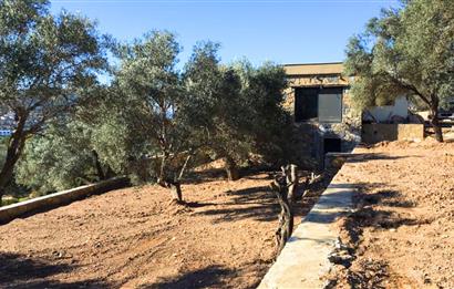 Bodrum Yalıçiftlik'te 1.5 Dönüm İçinde Müstakil Villa