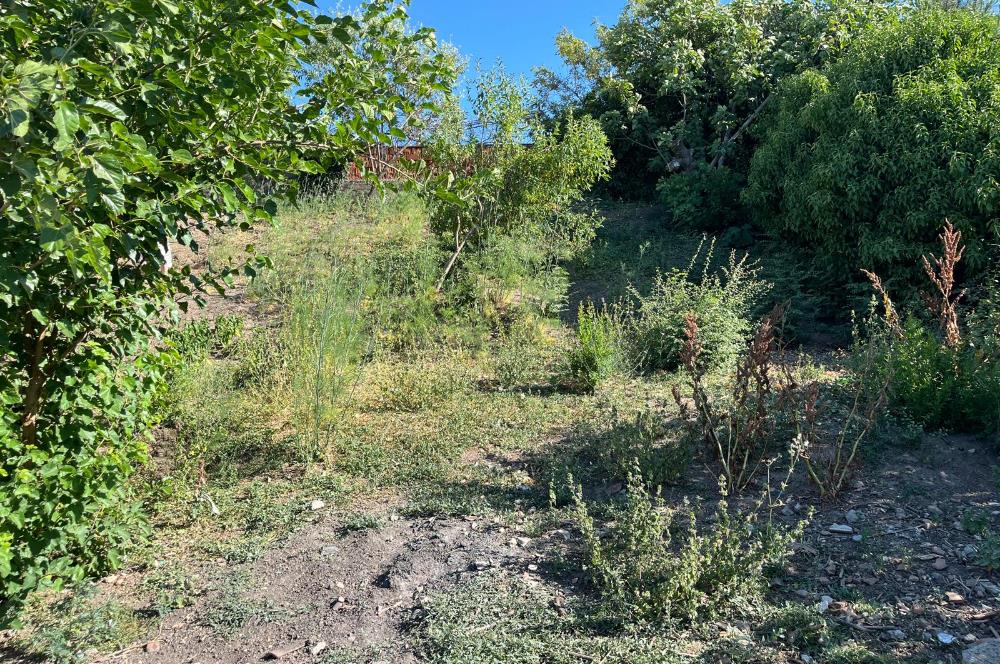 CENTURY 21 BAL'DAN SUSURLUK BURHANİYE MAH.DE SATILIK ARSA