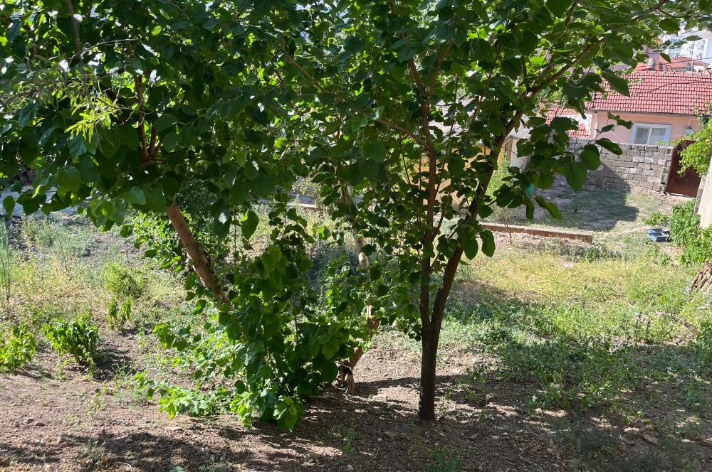 CENTURY 21 BAL'DAN SUSURLUK BURHANİYE MAH.DE SATILIK ARSA