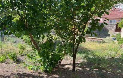 CENTURY 21 BAL'DAN SUSURLUK BURHANİYE MAH.DE SATILIK ARSA